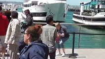 Park It Anywhere... Whale Watching Boat Crashing Into San Diego Dock