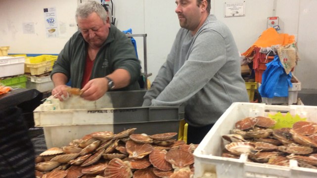 Le Goût du Large : fête de la Coquille