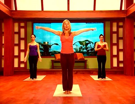 Дениз Остин. Йога. Контроль веса