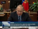 Putin felicita labor de agricultores por crecimiento económico ruso
