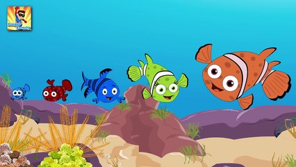Finger Family Fish Finger Family Parody Nursery Rhyme