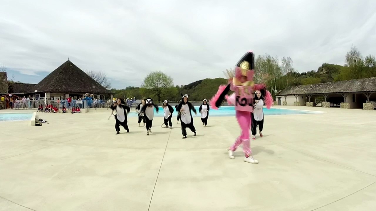 Chorée Rouen IE 2016