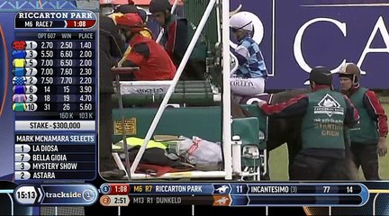 NZ 1000 GUINEAS, RICCARTON PARK (NZ), G1, 2016-11-12