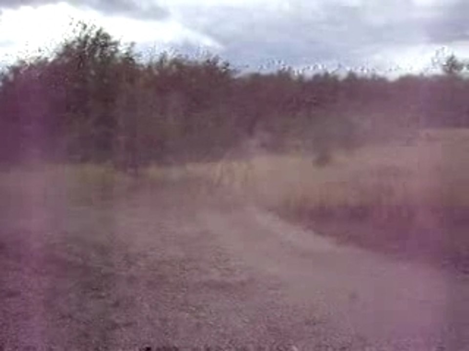 Raptor qui s'ammuse encore