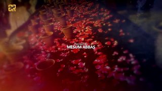 Mesum Abbas | Sabeel E Hussain | ShiaSoft Network | Nohay 2016-17 - HD