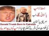 Donald Trump Born In Pakistan _ America par Pakistan ki hakumat hogi