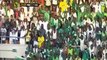 Nigeria vs Algeria 3-1 All Goals & Highlights 12/11/2016 HD
