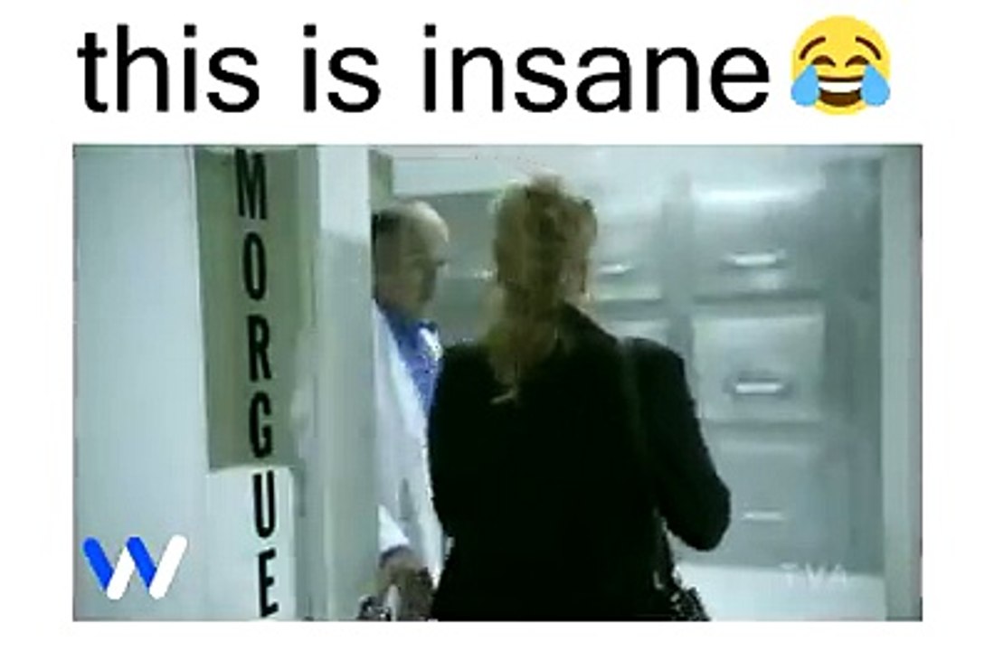 This Is Insane Funny