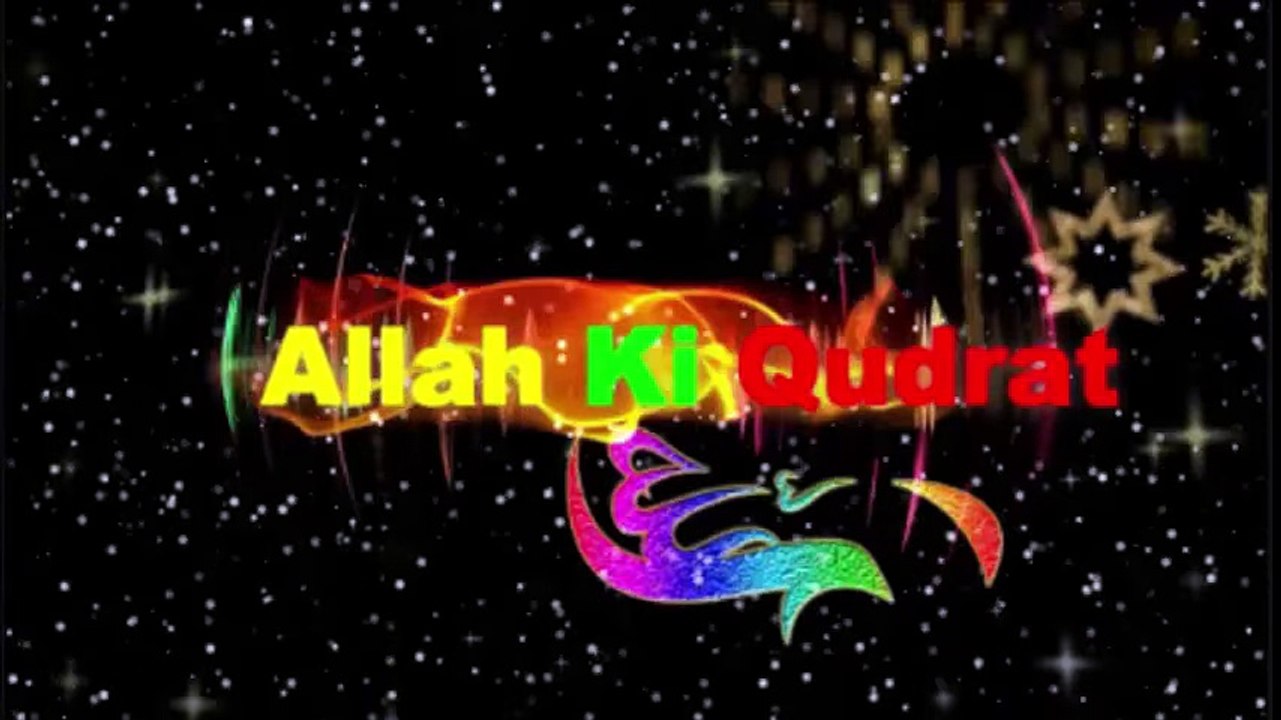 videoplayback