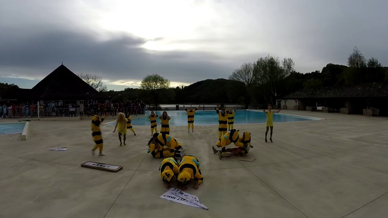Chorée Nancy IE 2016