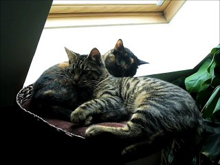 Marmelade & Bruce nov 2016