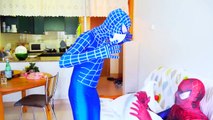 Spiderman & Frozen Elsa vs Joker Snake Pranks! x/ Pink Spidergirl Mermaid & X-Ray Blue Spider-Man :)