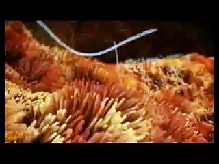 how to Baby playing inside womb funny cartoons Baby funny