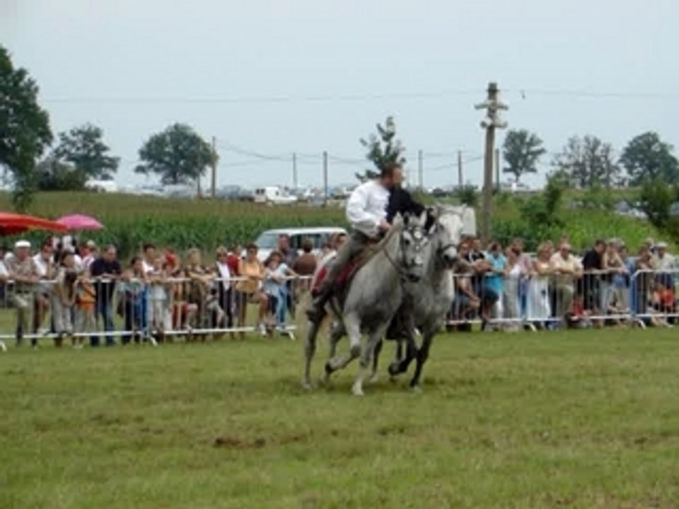 Fête du cheval Louvigne de Bais 1