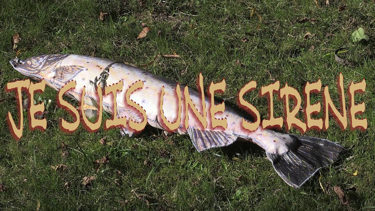 Je suis UNE SIRENE