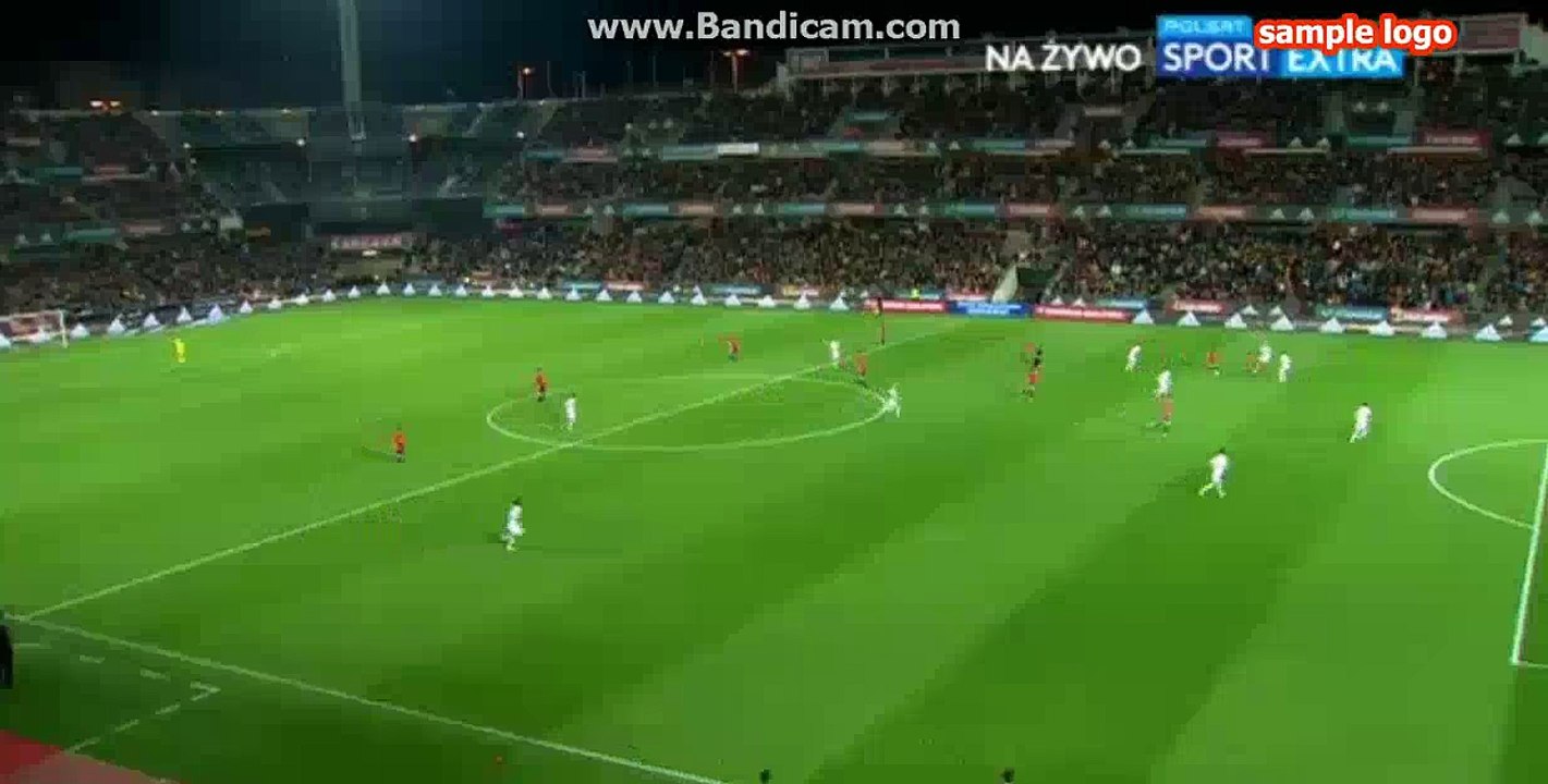 Fernando Torres Goal HD - Spain 4-0 FYR Macedonia