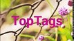 Top Tags - An app that helps you find Hastags For Instagram, Pinterest, Google Plus, Facebook