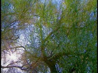 Planted Evidence - Forensic Files