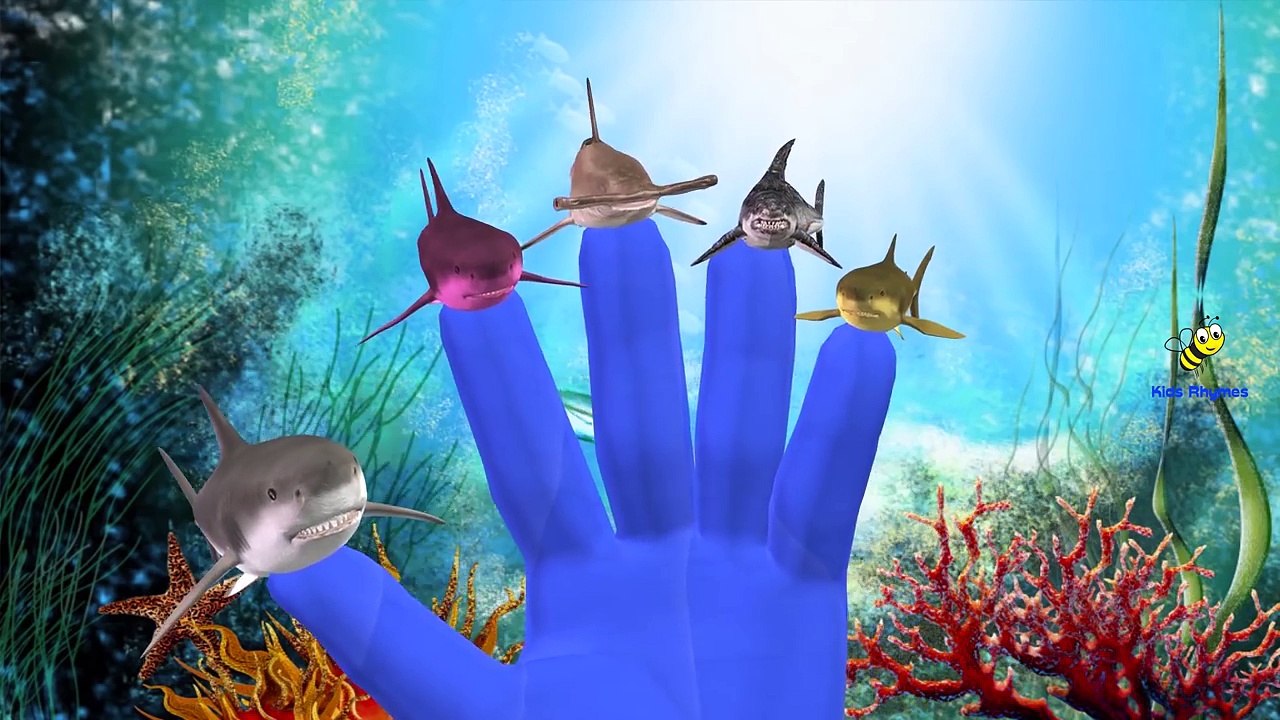 King Kong Elephant Lion Finger Family Rhymes | Tiger Octopus Finger Family Rhymes For Children