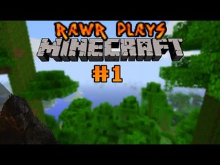 Rawr Plays: Minecraft #1