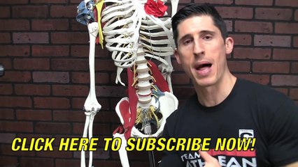 The Ultimate Hip Stretch and Mobility Drill (PSOAS SOLUTION!)