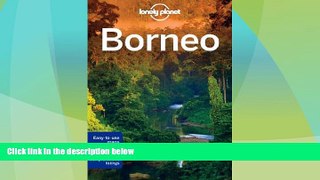 Big Deals  Lonely Planet Borneo (Travel Guide)  Best Seller Books Best Seller