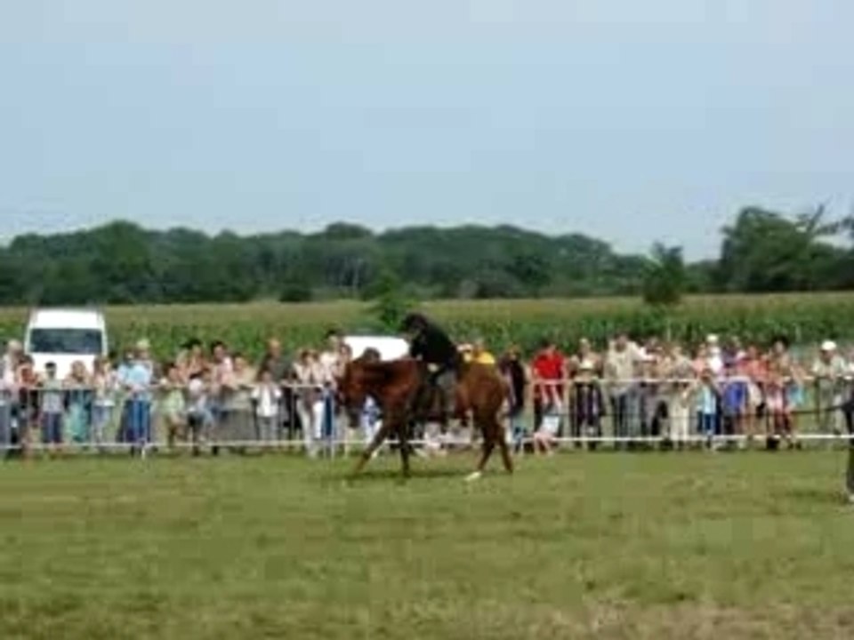 Fête du cheval Louvigne de Bais 3