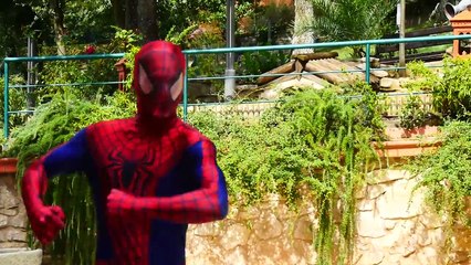 Spiderman & Frozen Elsa vs Witch! w/ Maleficent & Hulk! Elsa Drink Potion - Funny Superhero