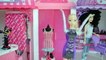 Frozen Elsa leva Chelsea, Kira e amiguinha para Passear no Shopping Malibu da Barbie!!!