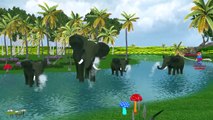 Elephant Lion And Tiger Cartoons Dancing And Singing Finger Family Children Nursery Rhymes