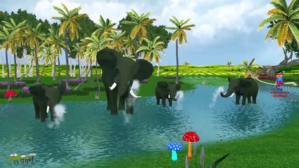 Elephant Lion And Tiger Cartoons Dancing And Singing Finger Family Children Nursery Rhymes
