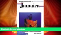 Big Deals  Diving and Snorkeling Guide to Jamaica (Lonely Planet Diving   Snorkeling Great Barrier