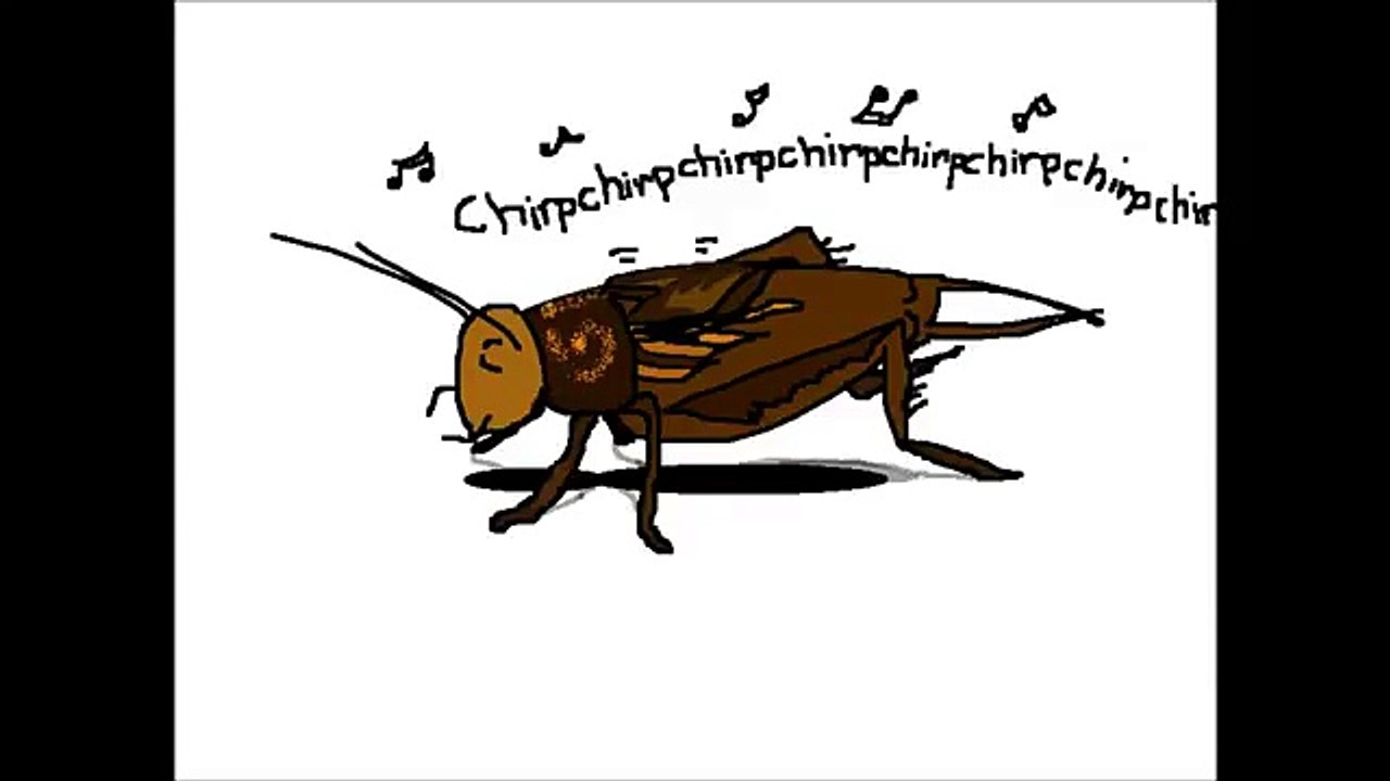 Autonomous sensory meridian response asmr scrickets 7 min