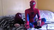 SpiderMonkey vs Spiderman Superheroes Fun Movie in Real Life Superhero Battles IRL Playlist Parody