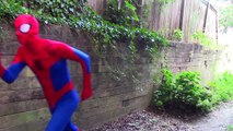 Spiderman Elsa babysit snow white baby w Ariel mermaid Catwoman Joker funny video