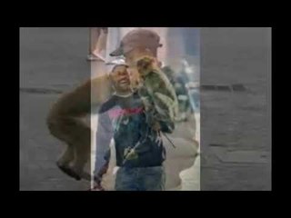 dresseur de singe  jamaa el fna