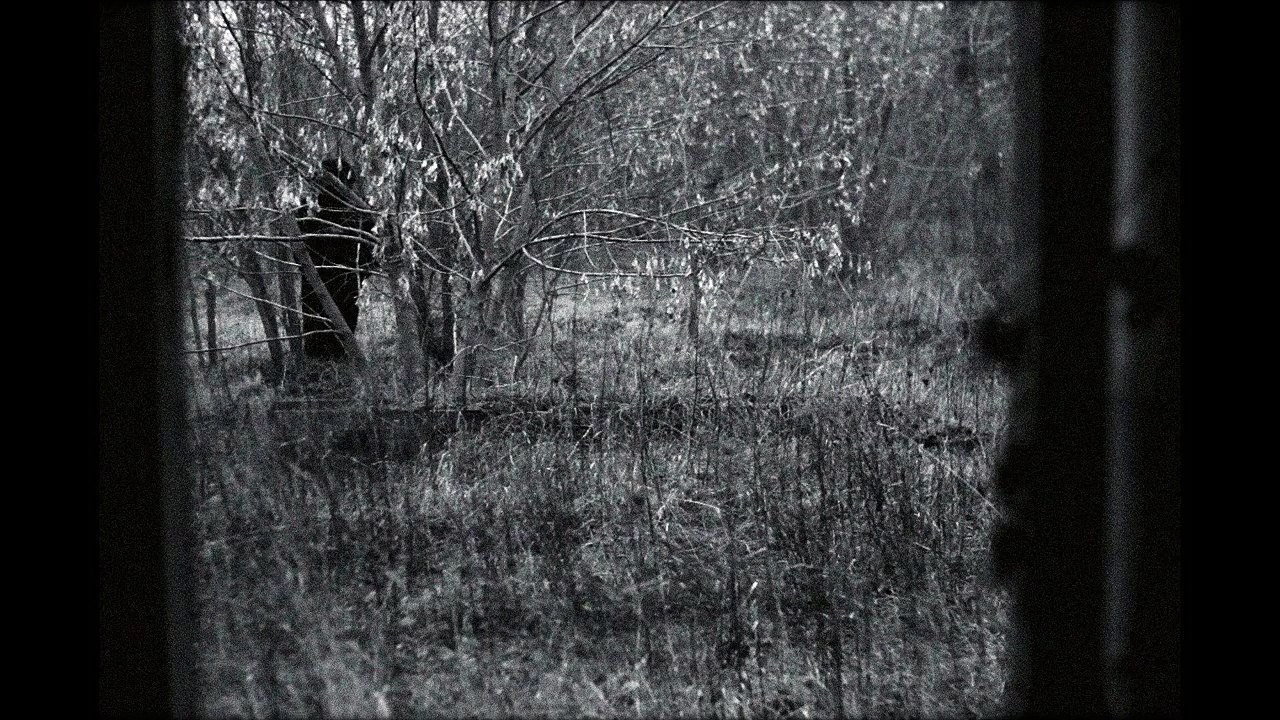 11B 3 1369 (plague doctor DarkWeb leak)