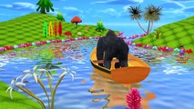 King Kong Singing Finger Family Rhymes And Hot Cross Buns | Row Row Row Your Boat Nursery Rhymes