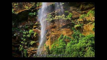 α-極限の目撃者　αが捉える光と闇-西表島-【ソニー公式】