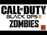 Back to BO2|Town Zombies w/arran Part 1