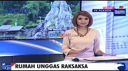 Berwisata ke Rumah Unggas Raksasa