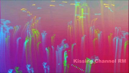 Gauhar Khan Kisses Rajeev Khandelwal HD _ Fever 2016 _ RM