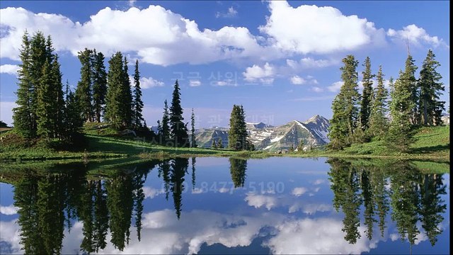 ／{구글 광고 대행} ## 구글 상위노출 01088545190