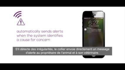 Innovation Stories - épisode 30 | Pet Pace