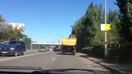 Два оленя // Two deer