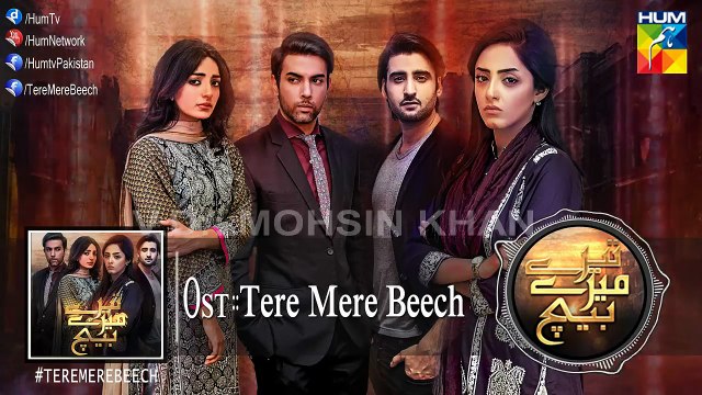 Tere Mere Beech Drama | Full Audio OST | HUM TV