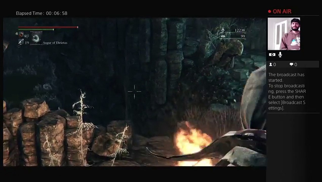 Bloodborne HD (30)