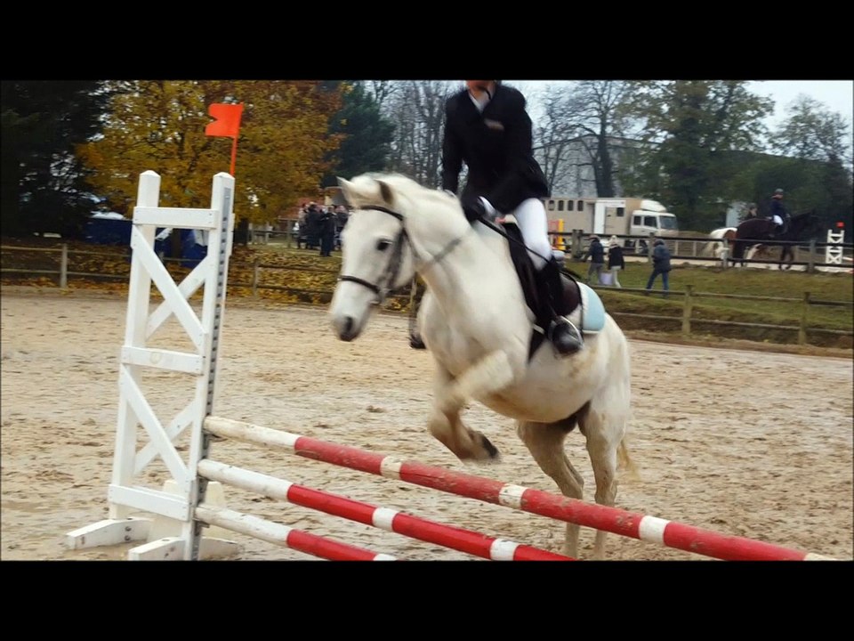 Samuel  13 novembre 2013 Equitation