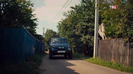 Муж с доставкой на дом 3 серия (2016)