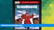 Must Have  Scandinavian Plane Reader - Get Excited About Your Upcoming Trip to Scandinavia:
